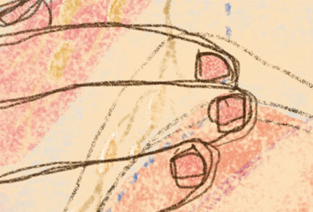 Illustrations